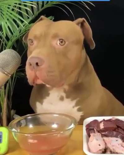 Eating while tripping be like