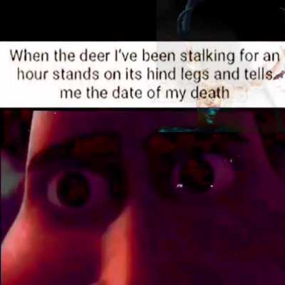 And that's why I don't hunt