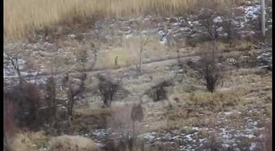 Donbass separatist killed by IED