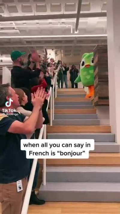 The official, verified Duolingo tiktok account just posted this. They are choosing CONTROVERSY.