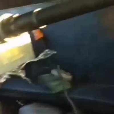 Narco bulletproof truck with machine gun mounted and sicarios