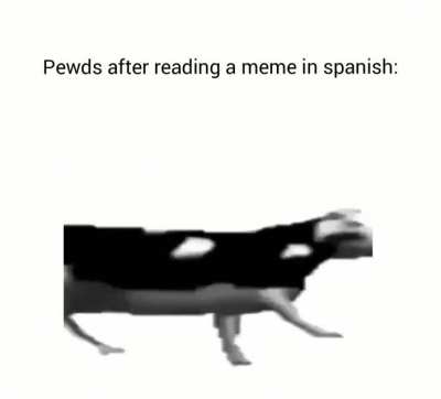 muuuuu or mooooo?