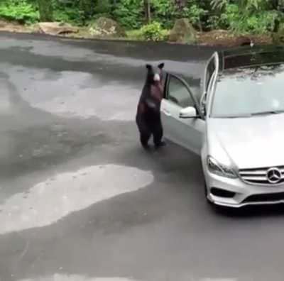 Holup, this isn&rsquo;t my car!