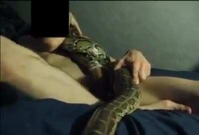 Don&rsquo;t put your dick in a snake..