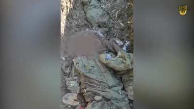 Ukrainain Tanks & Infantry attacking NSFW (Music added by source)