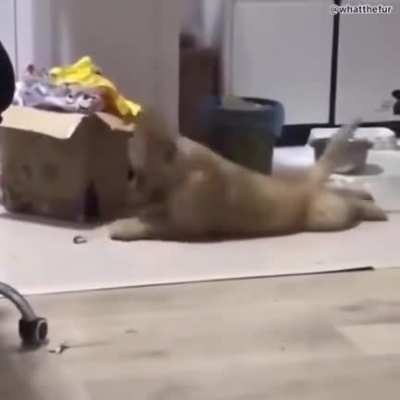 When the beat drops