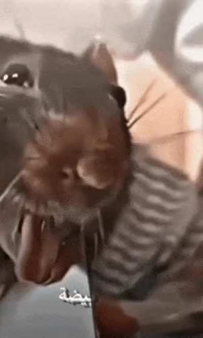 Freakunk