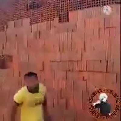 Ninja do tijolo