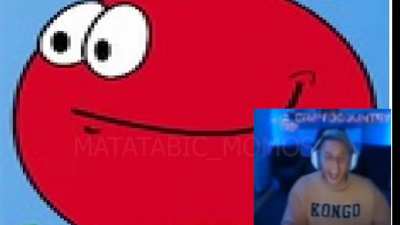 momo se rie del momo red bol