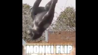 what a flip