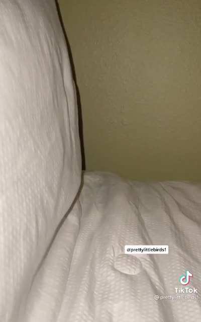 This is my kids when I need them to go the f*ck to sleep