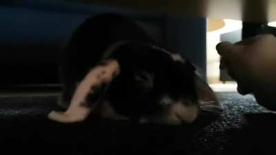 Jeroen loves his cuddles. &amp;lt;3