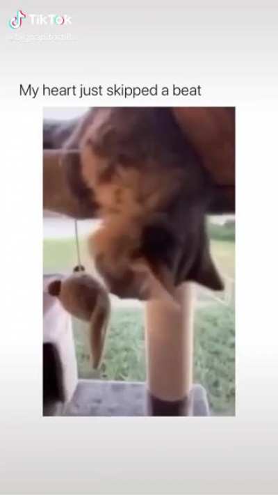 Maybe Maybe Maybe