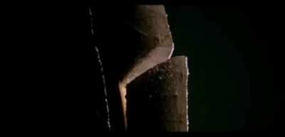 Barfi "trust pole scene" beautifully directed by anurag basu matched with equally good acting from Ranbir Kapoor,Priyanka chopra and Ileana D'souza.