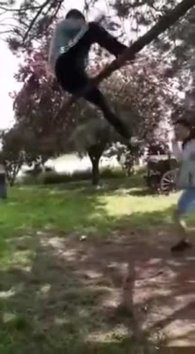 Never bother a tree or...