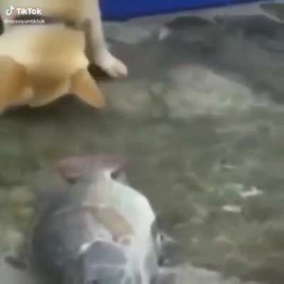 Por esta raz&oacute;n aun tengo fe en la humanidad