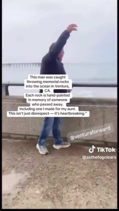 A-Hole Throws Memorial Rocks Into The Ocean