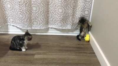 There&rsquo;s no escape!