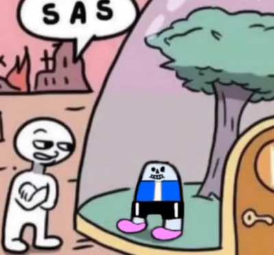 sas