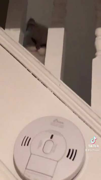 Ever get the feeling you&rsquo;re being watched!?