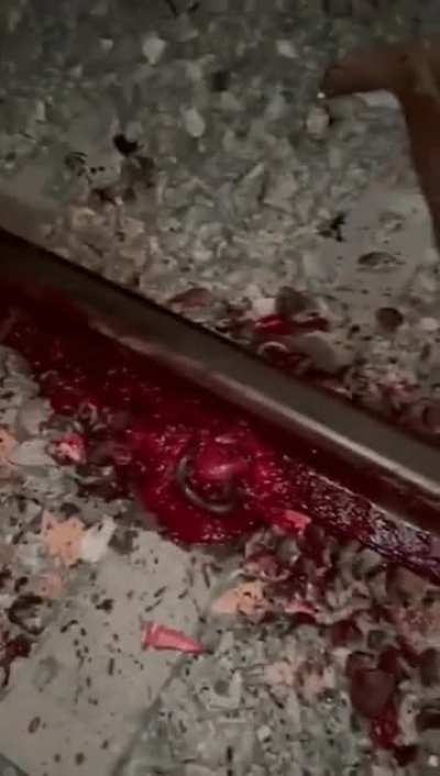 Train accident(?) in Brazil
