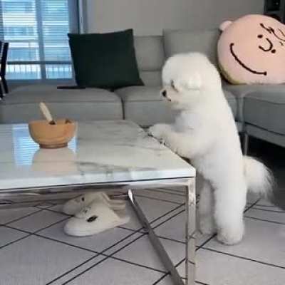 She is so cute and playful