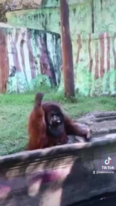 Br&ouml;ther pass me the banan