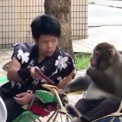 Live footage of two spotted WSB redditors seen in real life discussing the GME situation... 🦧