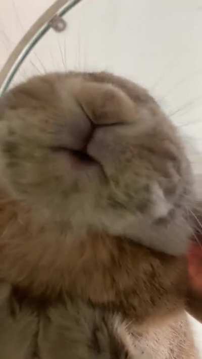 Digging da glass