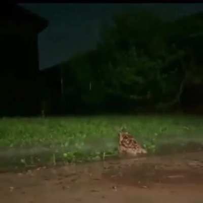 Maybe maybe maybe 