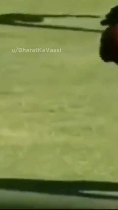 Oc hai