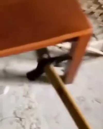 Sa