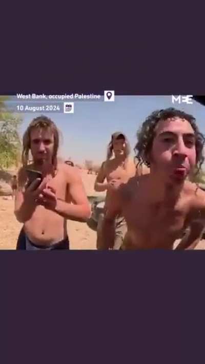 Israeli settlers harass American journalist &ldquo;Brendan Rains&rdquo; covering attacks on Palestinian infrastructure in West Bank