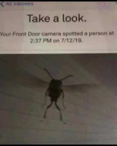 he is here