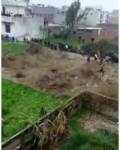 Leopard runs amok in Indian Village