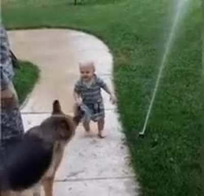 Doggo smart enough to know what the toddler wants, and indulge him.
