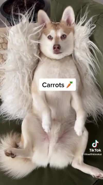 Husko screamo