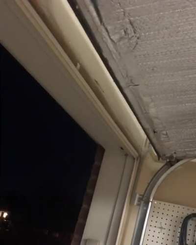 My brother attempting to remove a wasp nest while I film&hellip;