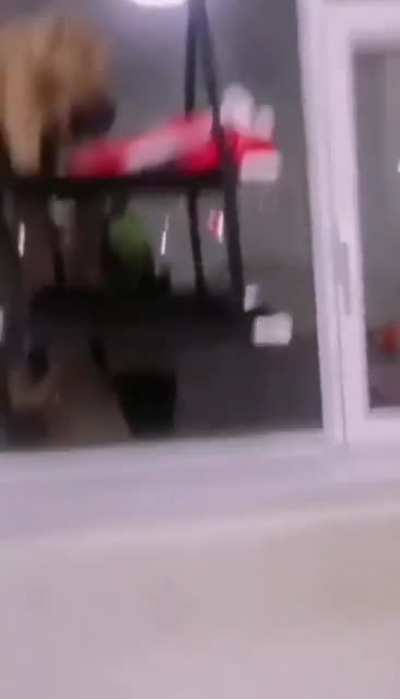 Nice jump, bro...