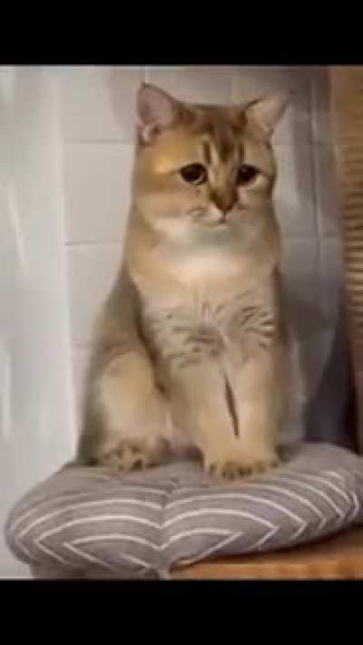 I dont know why he's sad