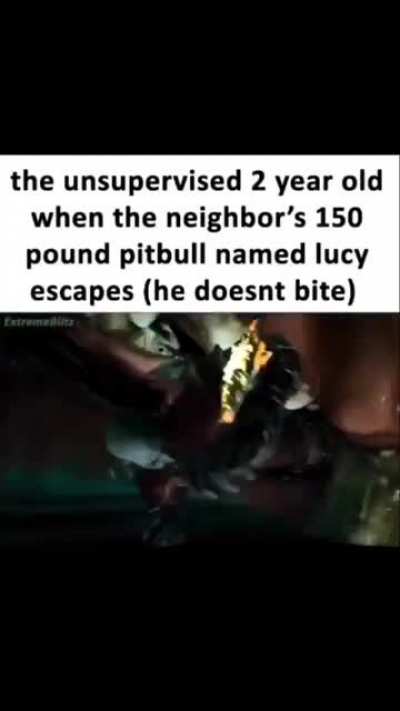 What the dog doin?