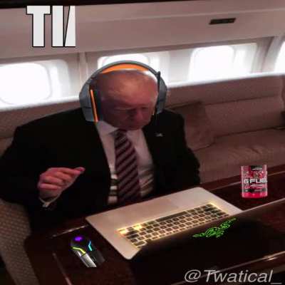 the forbidden 真相