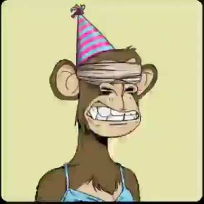 Around 4000 pictures of those ugly ass monkey nfts (feel free to screenshot)