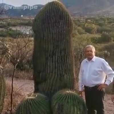Mexico: xxx