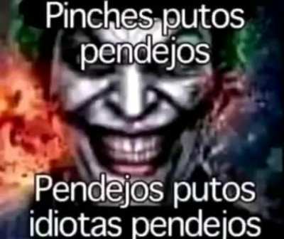 Pinches putos pendejos pendejos putos idiotas pendejos