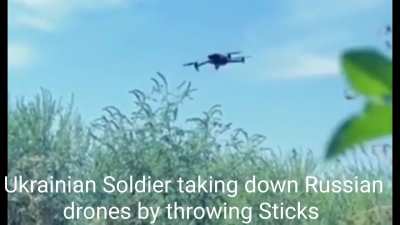 Reality is often Disappointing 