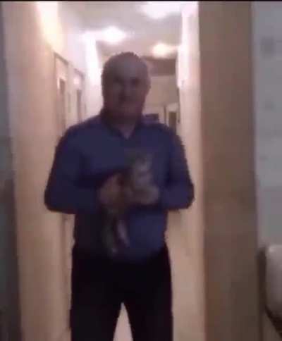 Bye bye kitty