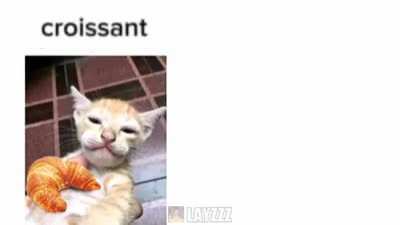 quaso