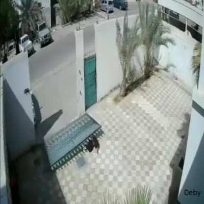Gate Crushes Woman To Death