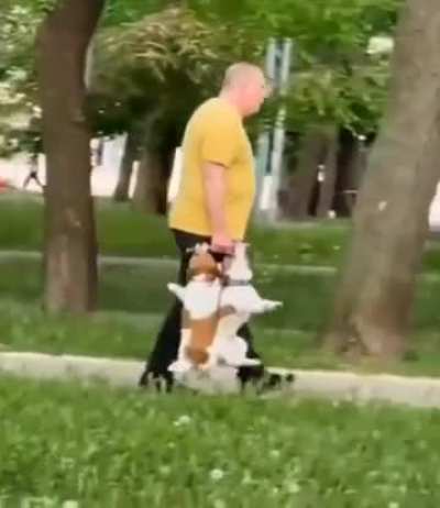 The Capture